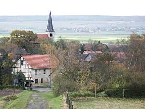 Gro Steinum